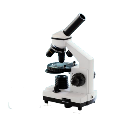 microscope